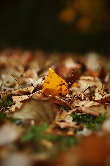 依靠结构化